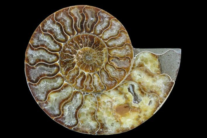 Agatized Ammonite Fossil (Half) - Madagascar #88178